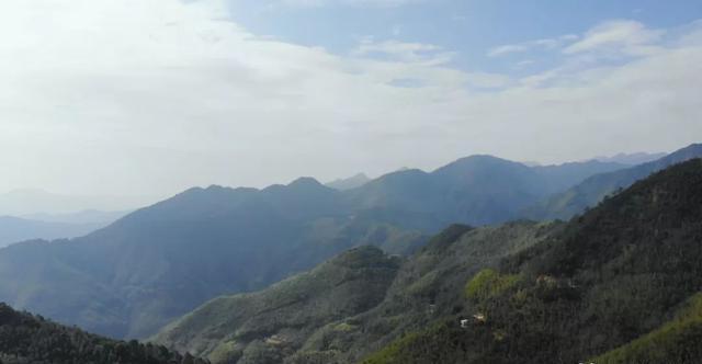 食尚岩味 江山镇黑山羊，暖冬滋补龙岩新罗的味蕾之旅