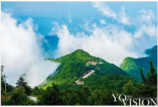 解锁龙岩这4处云端仙境，超高负氧离子含量，让呼吸都变为享受