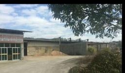 龙岩新罗区仓库厂房出租与出售指南 兼谈新罗区旅游亮点